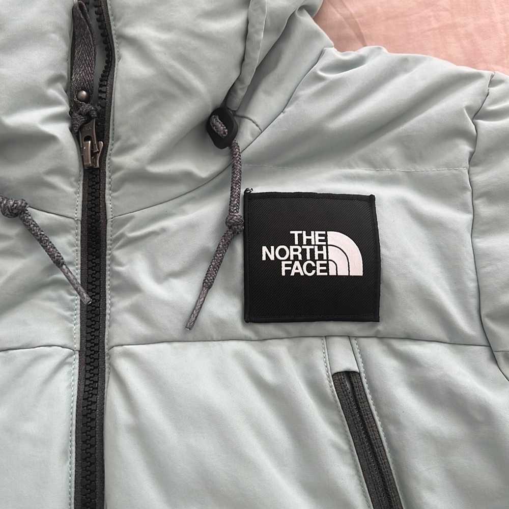 North Face Ski Jacket/Puffy